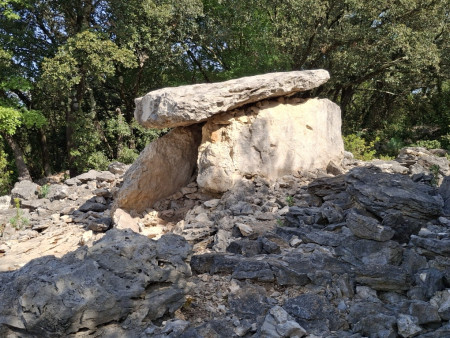 Un dolmen....égaré